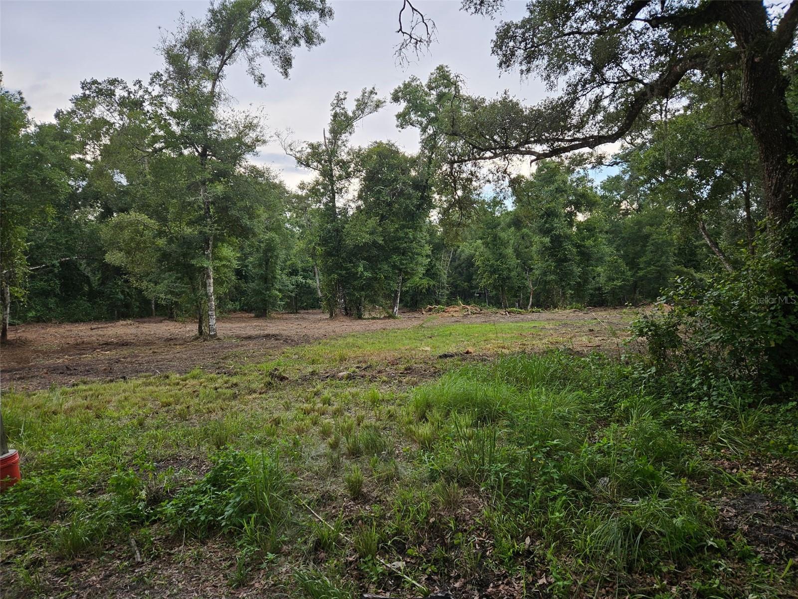 Image 4 of 5 For  40th  