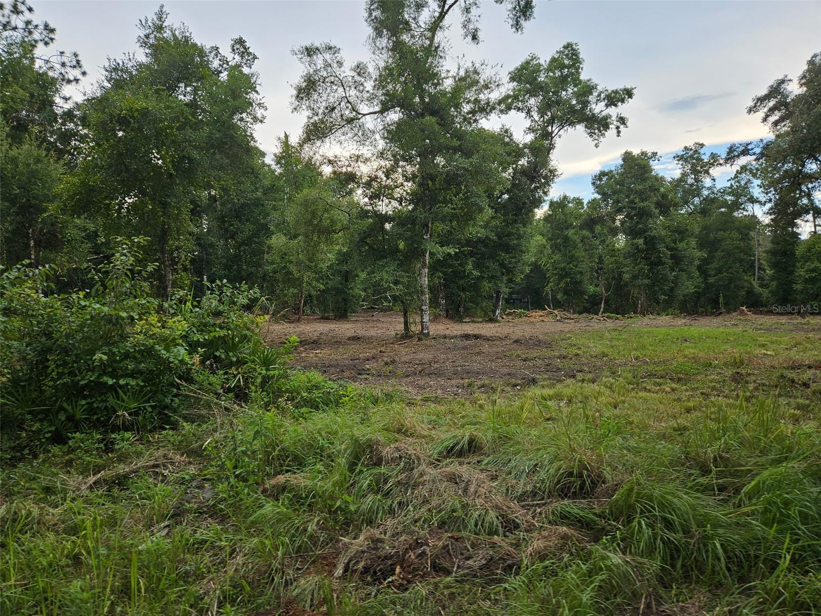 Image 5 of 5 For  40th  