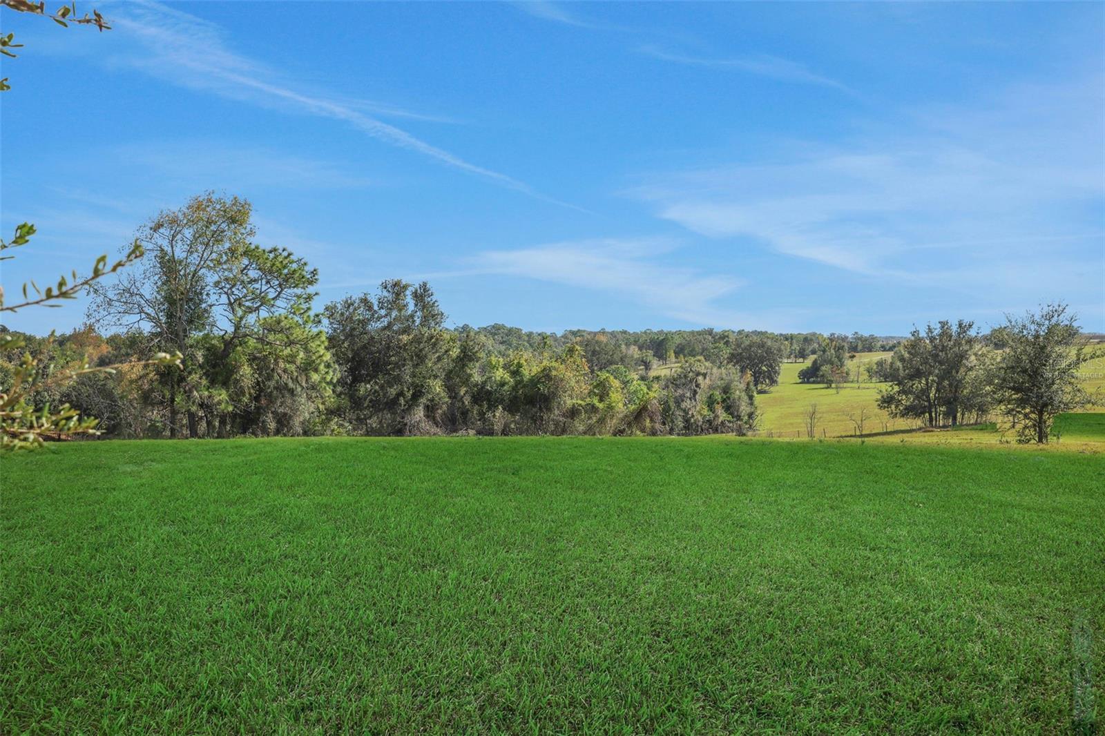 Image 8 of 36 For 5011 Firebush Drive