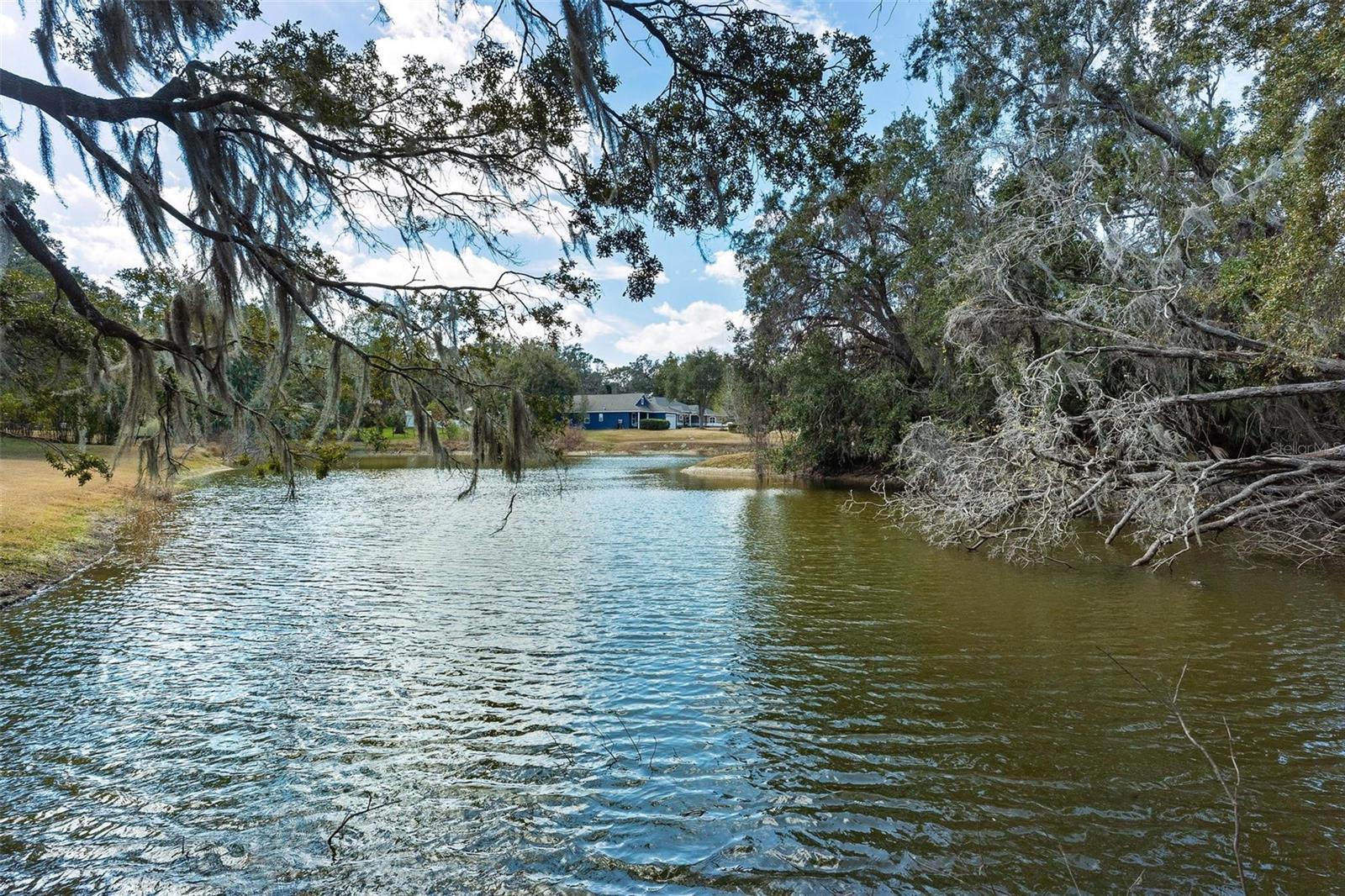 Image 58 of 69 For 9175 Silver Lake Drive