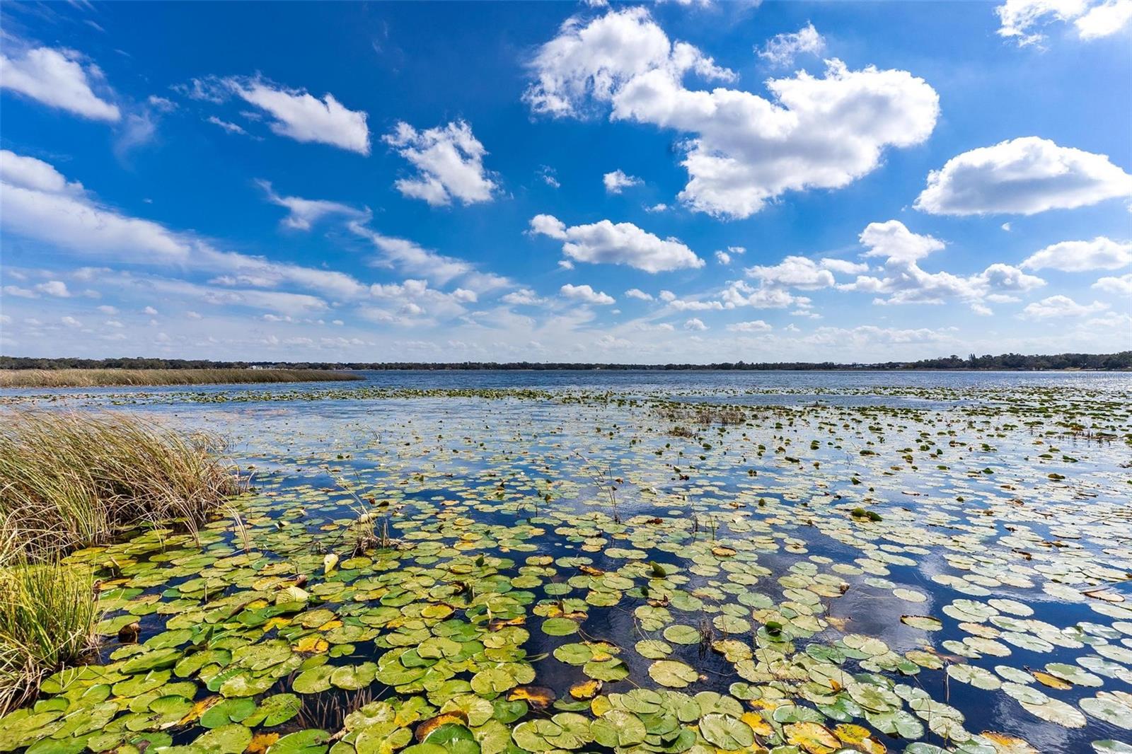 Image 62 of 69 For 9175 Silver Lake Drive
