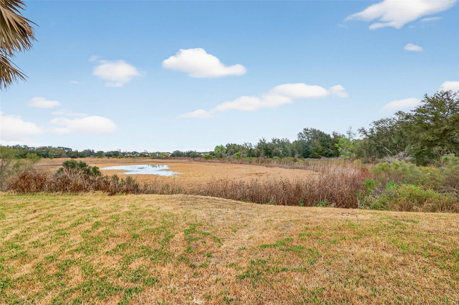 Image 45 of 56 For 27222 Nostalgia Drive