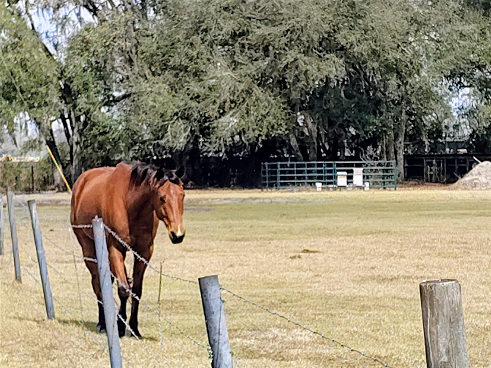 Image 21 of 54 For 14240 Sr 471