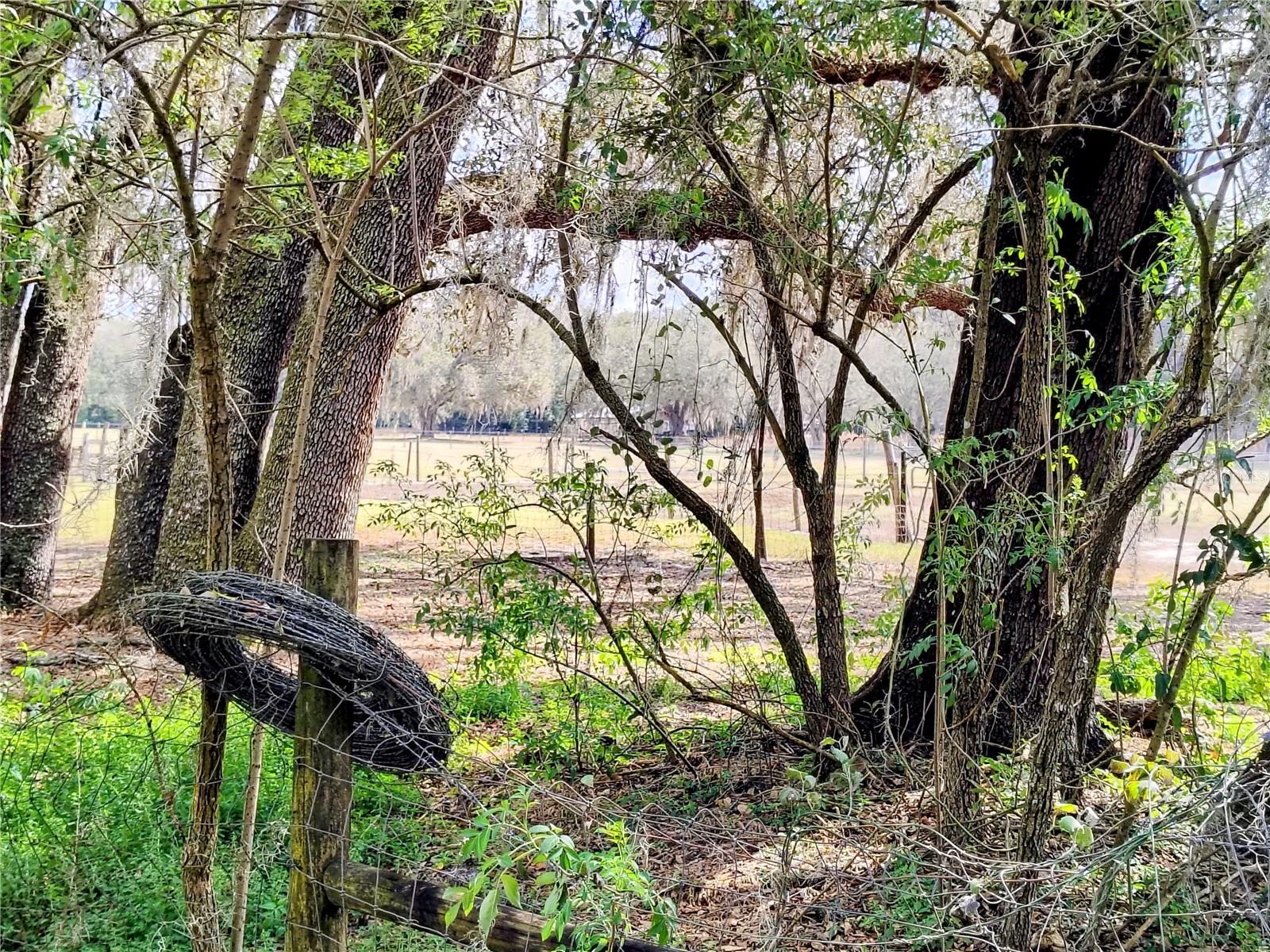 Image 37 of 54 For 14240 Sr 471