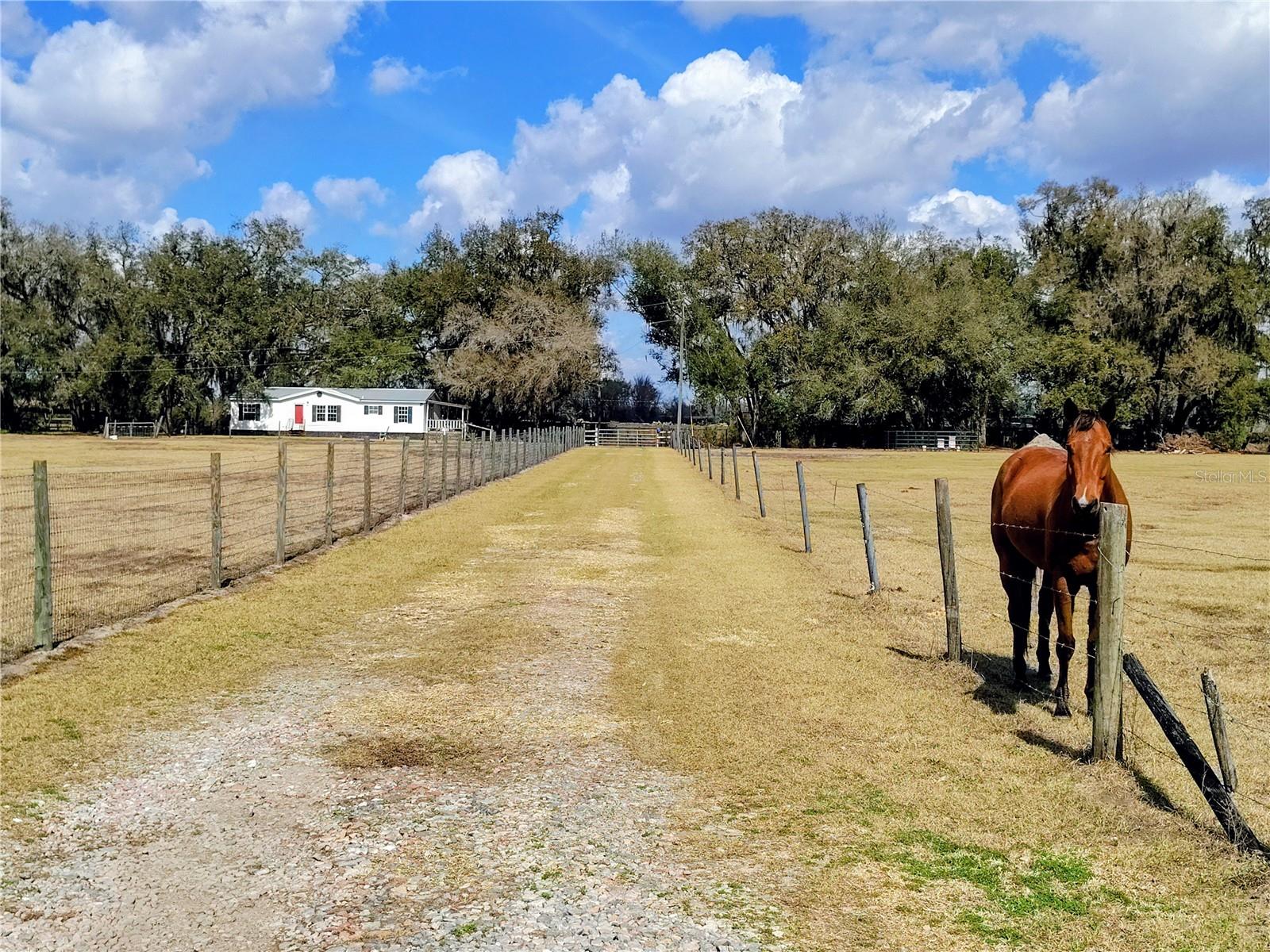 Image 4 of 54 For 14240 Sr 471