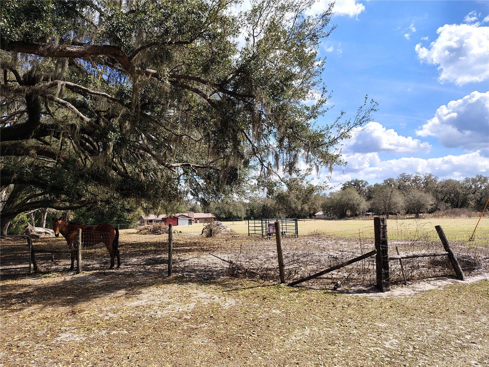 Image 47 of 54 For 14240 Sr 471