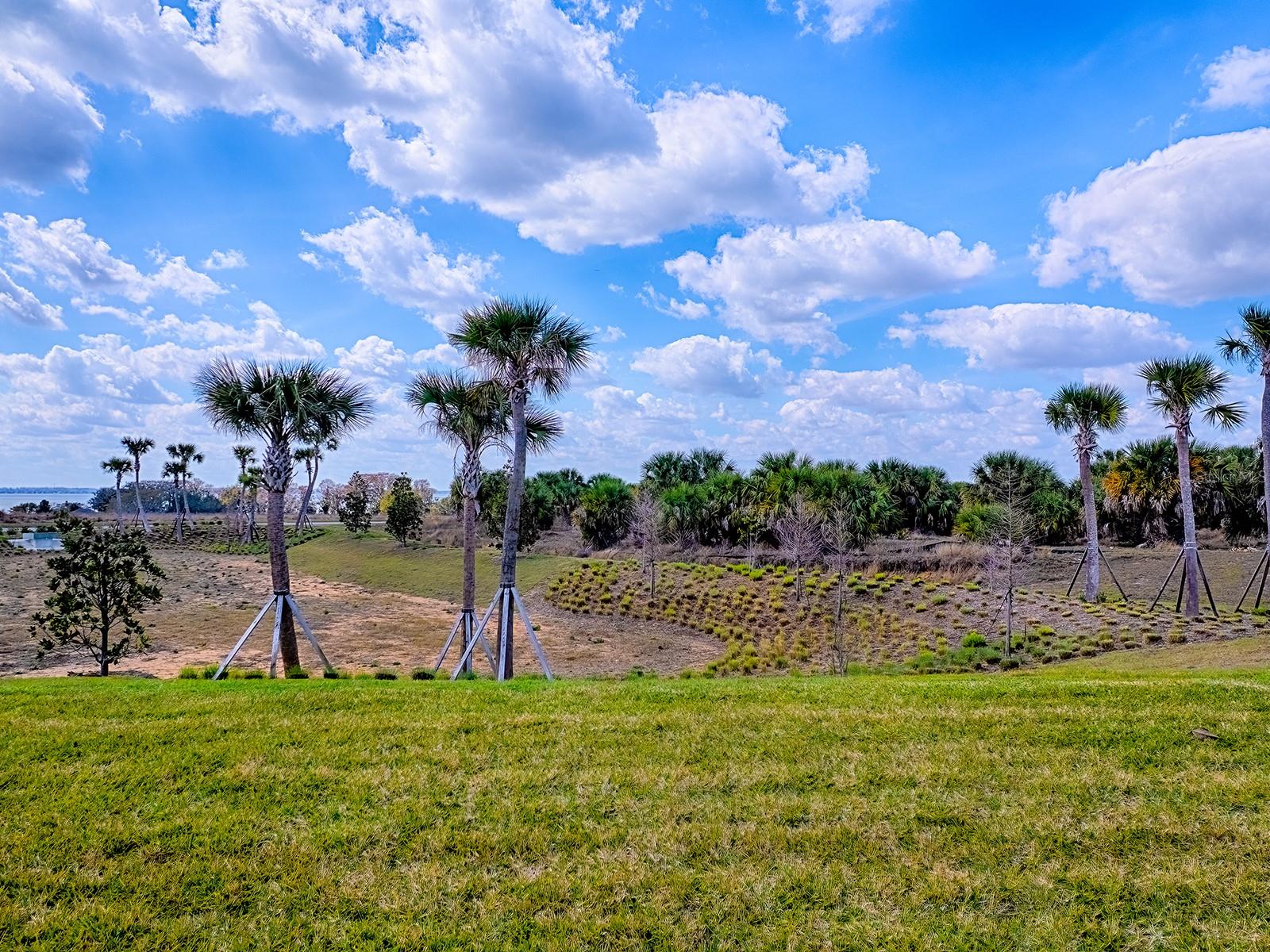 Image 37 of 56 For 1599 Bellagio Loop