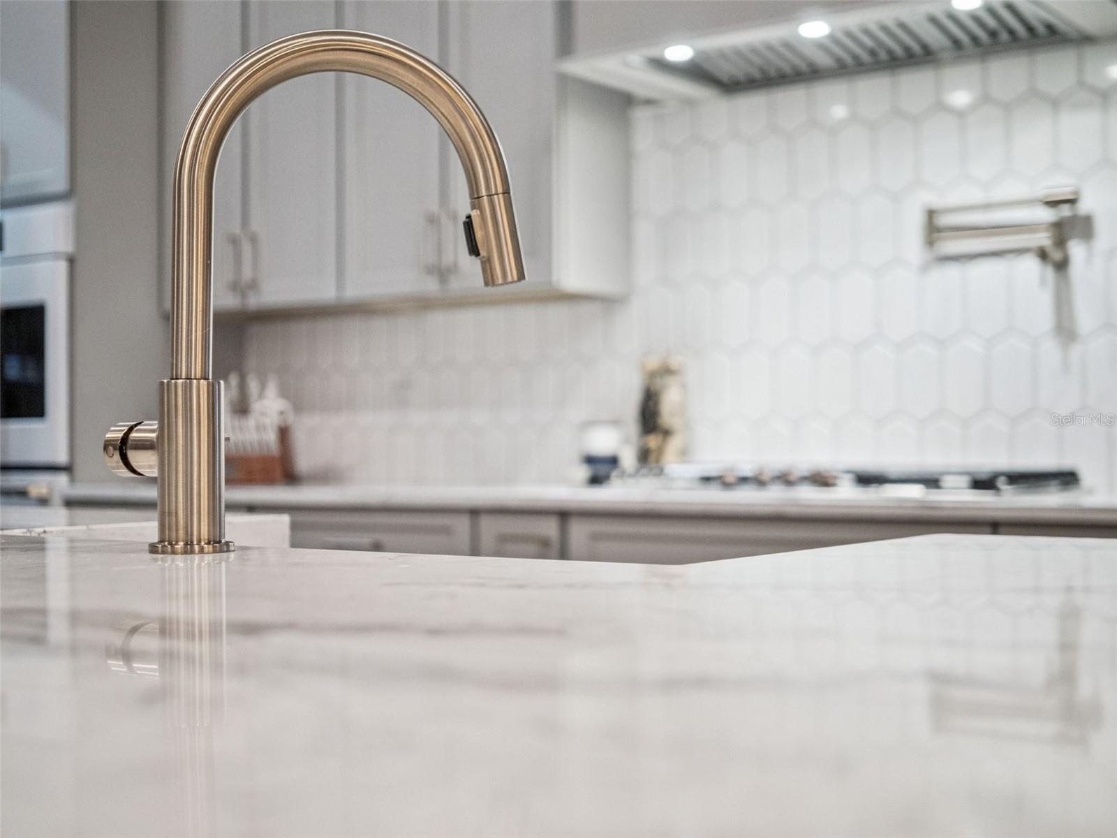 Image 46 of 94 For 16922 Apopka Springs Boulevard