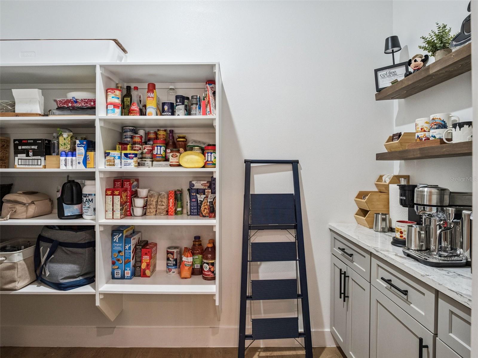 Image 58 of 94 For 16922 Apopka Springs Boulevard