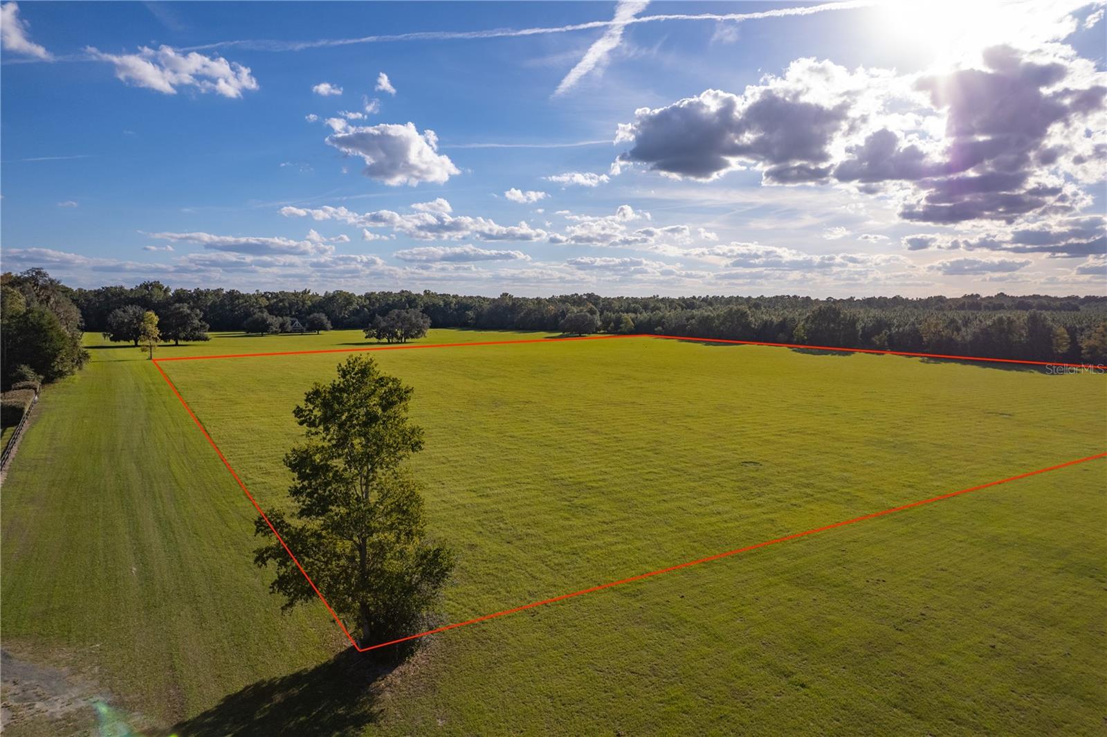 Image 11 of 14 For Blue Bird Court Sw