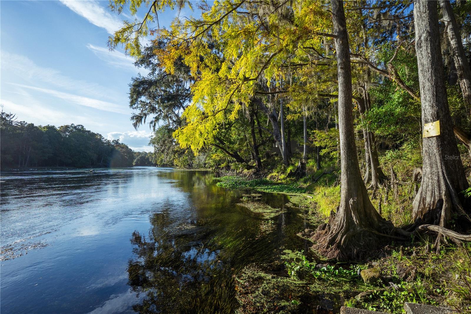 Image 12 of 14 For Blue Bird Court Sw