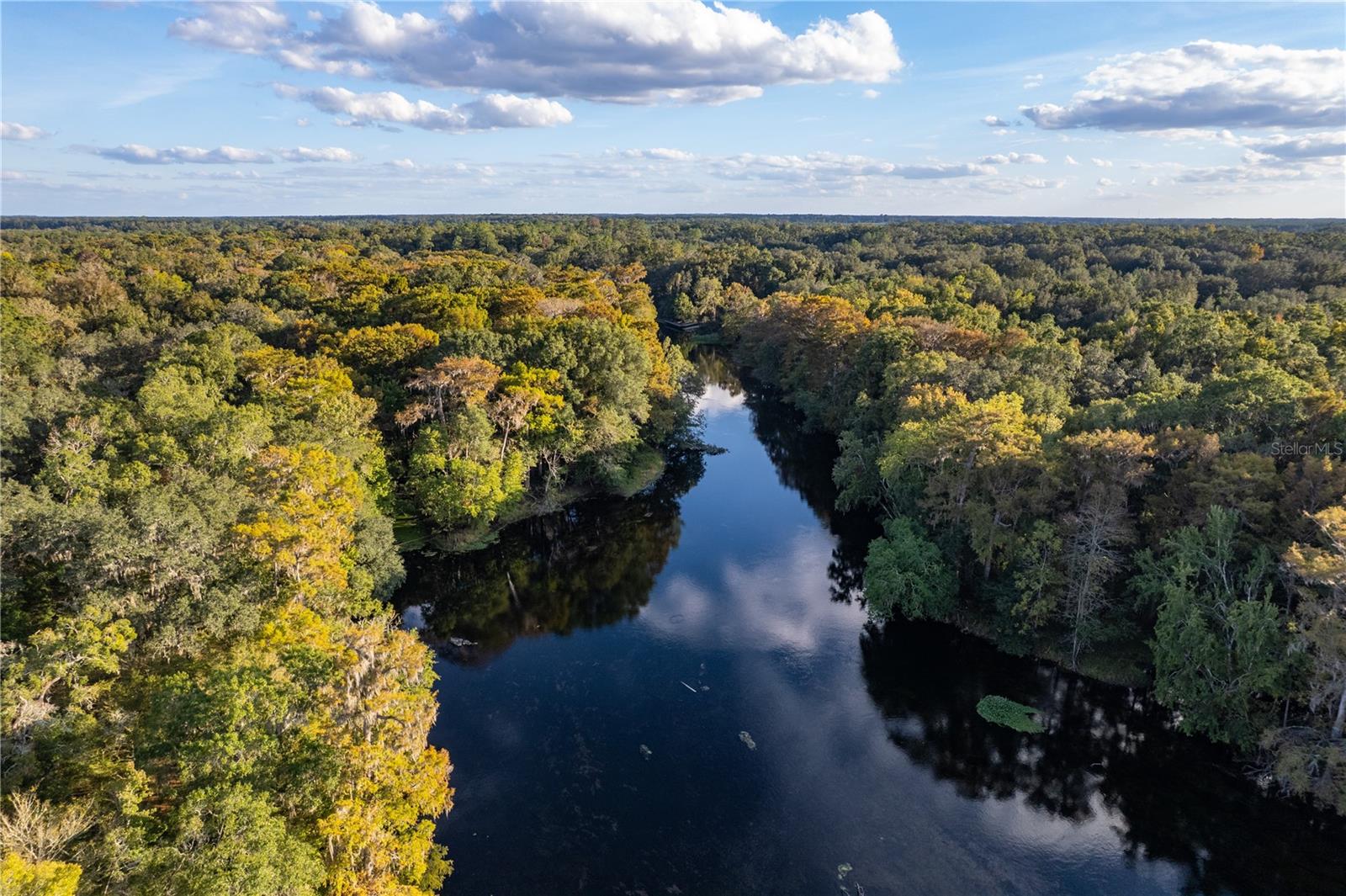 Image 14 of 14 For Blue Bird Court Sw