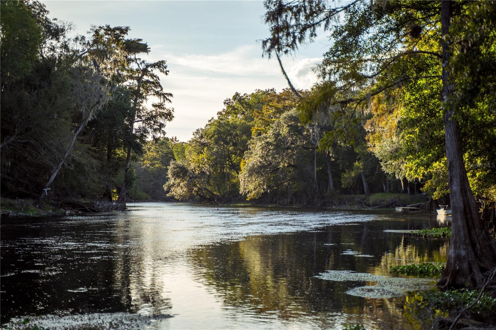 Image 3 of 14 For Blue Bird Court Sw