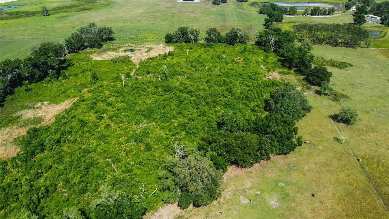 Image 18 of 24 For 51st Lane