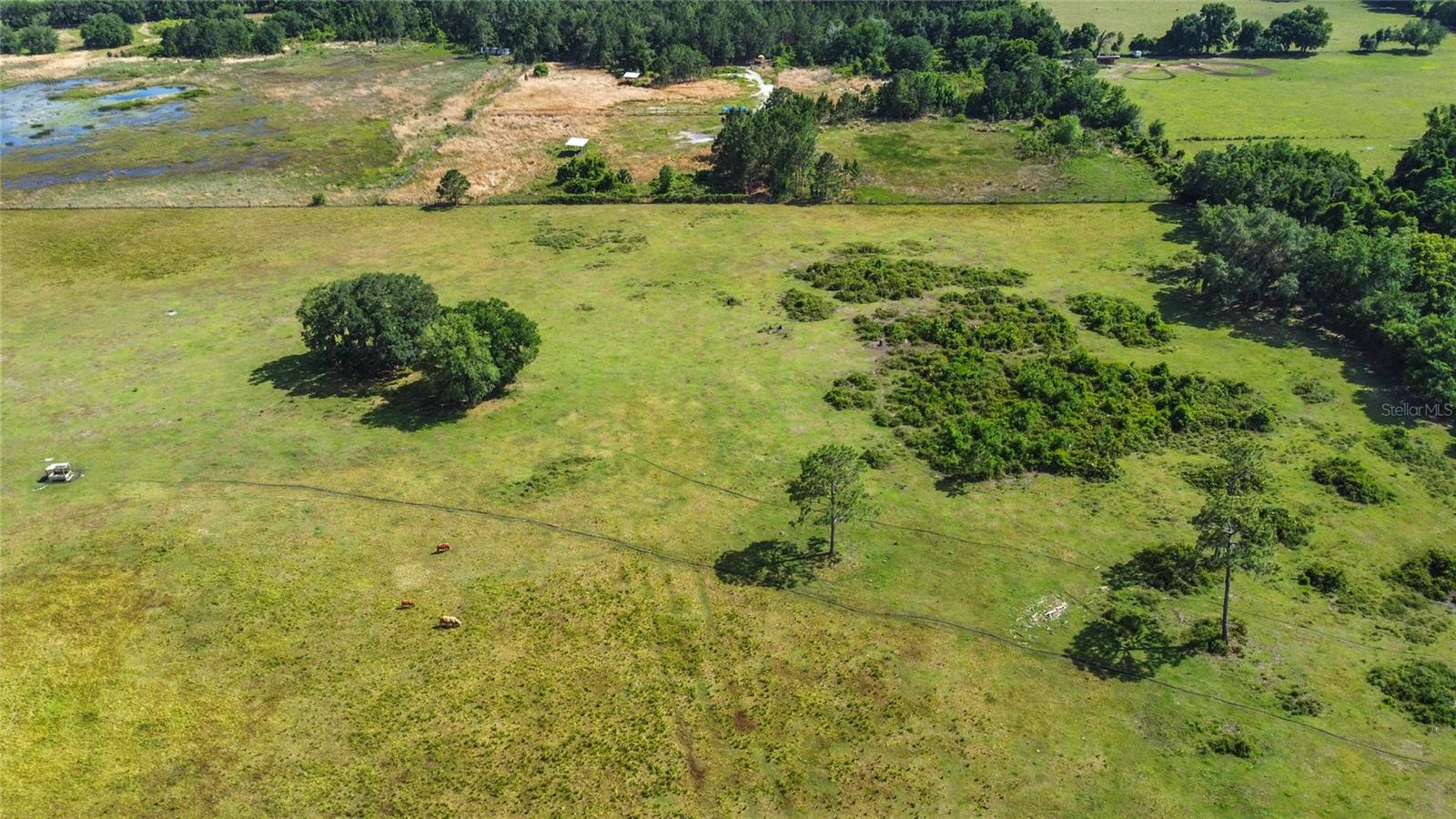 Image 20 of 24 For 51st Lane