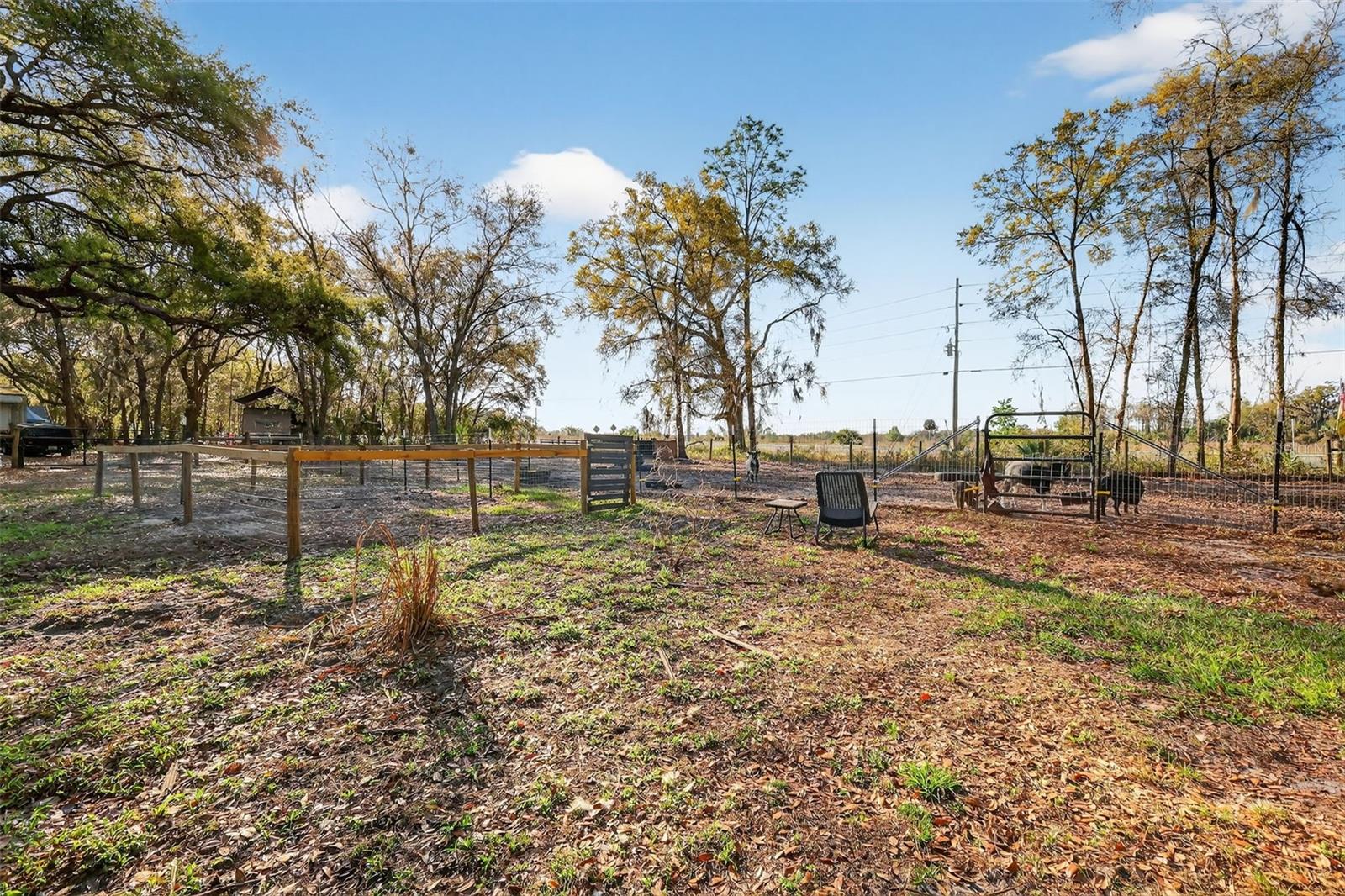 Image 24 of 25 For 43011 3rd Street