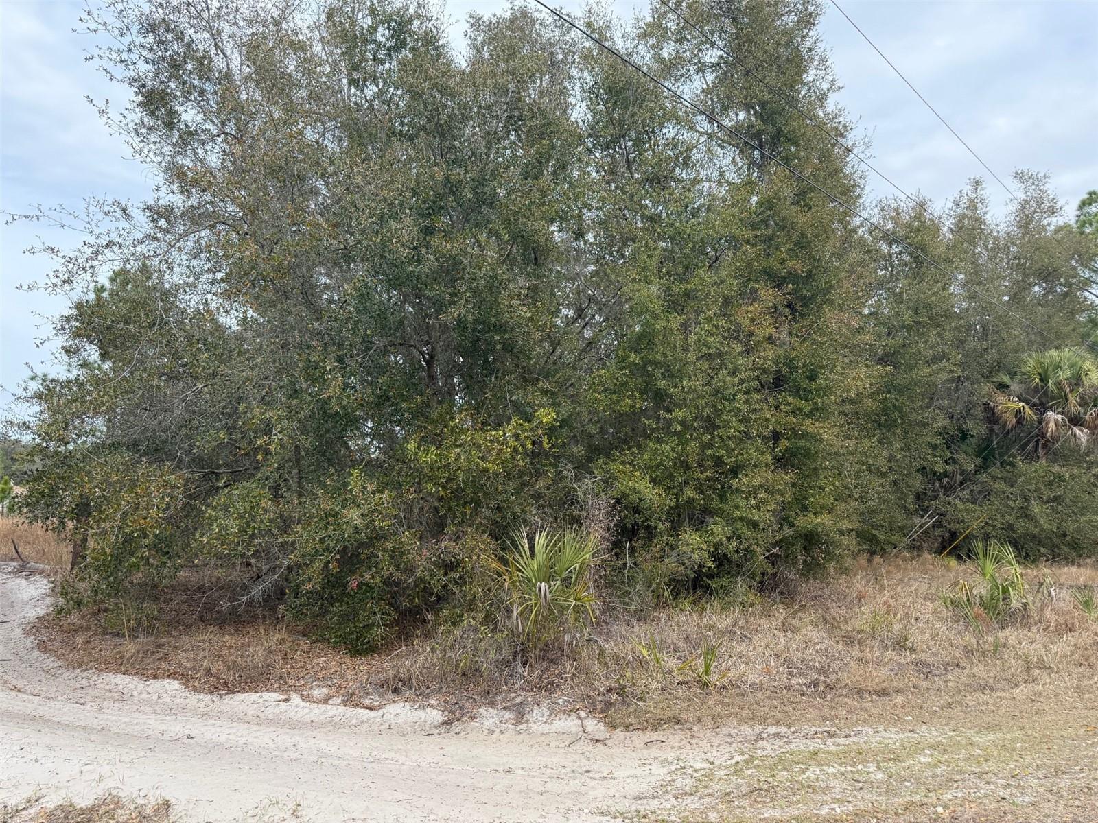 Image 2 of 6 For 8309 N Odyssey Dr