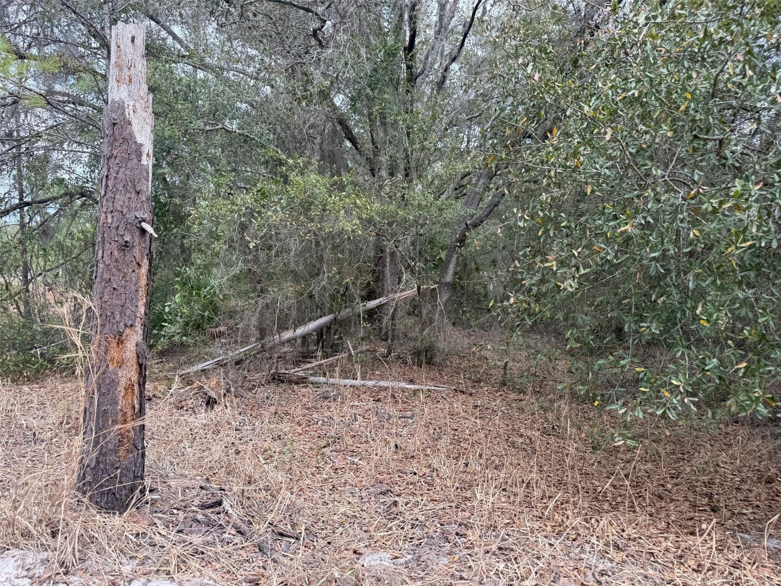 Image 3 of 6 For 8309 N Odyssey Dr