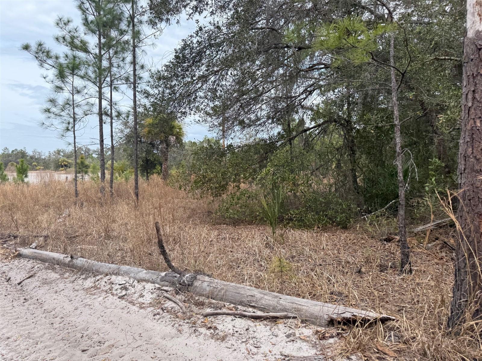 Image 4 of 6 For 8309 N Odyssey Dr