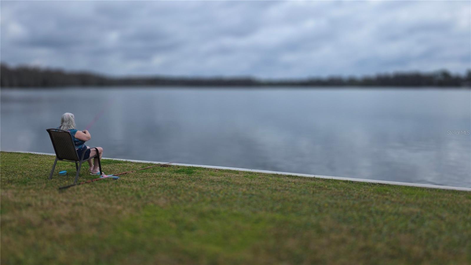 Image 28 of 34 For 252 Pinewood Drive