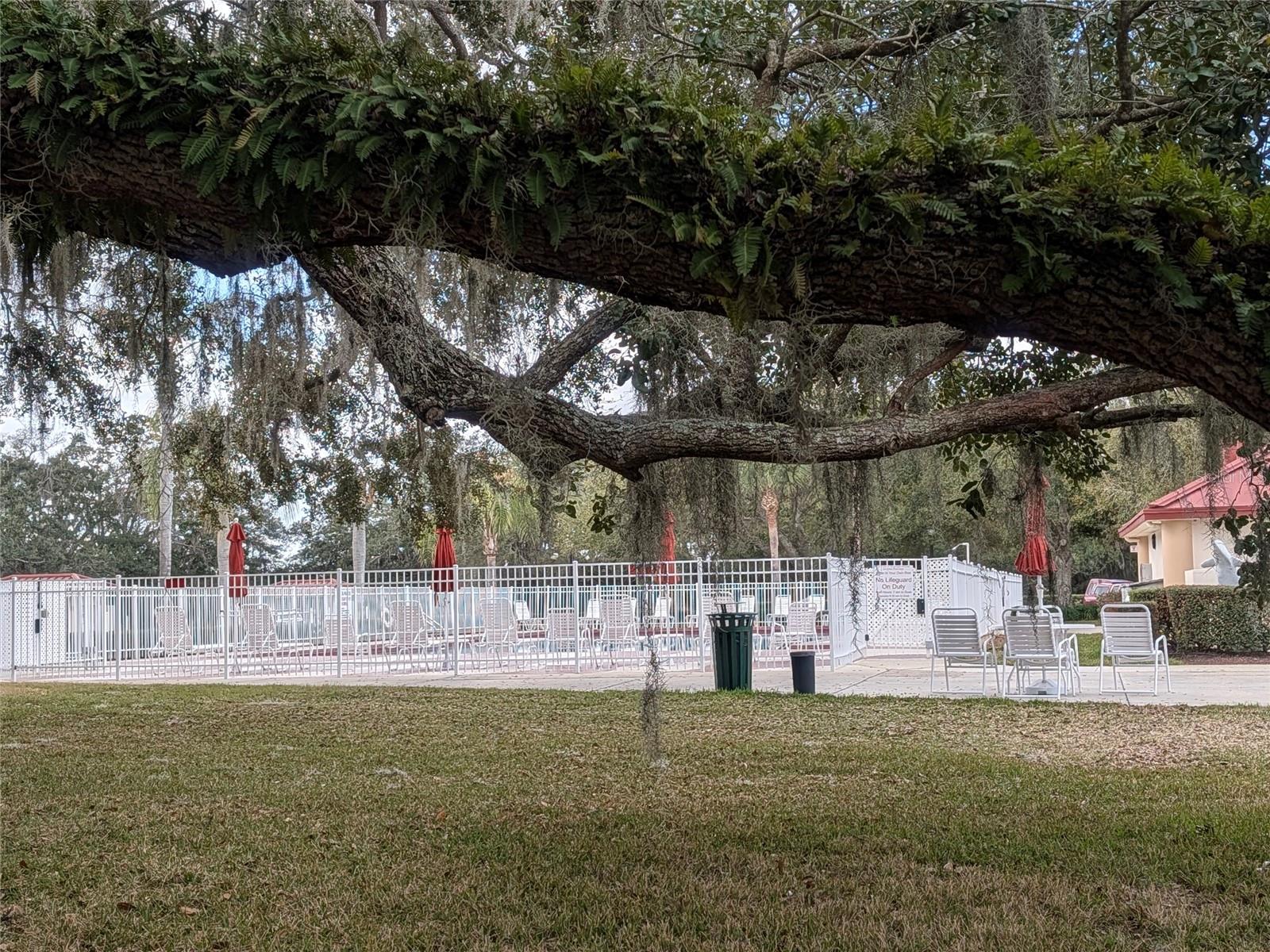 Image 44 of 45 For 6555 Wilander Street