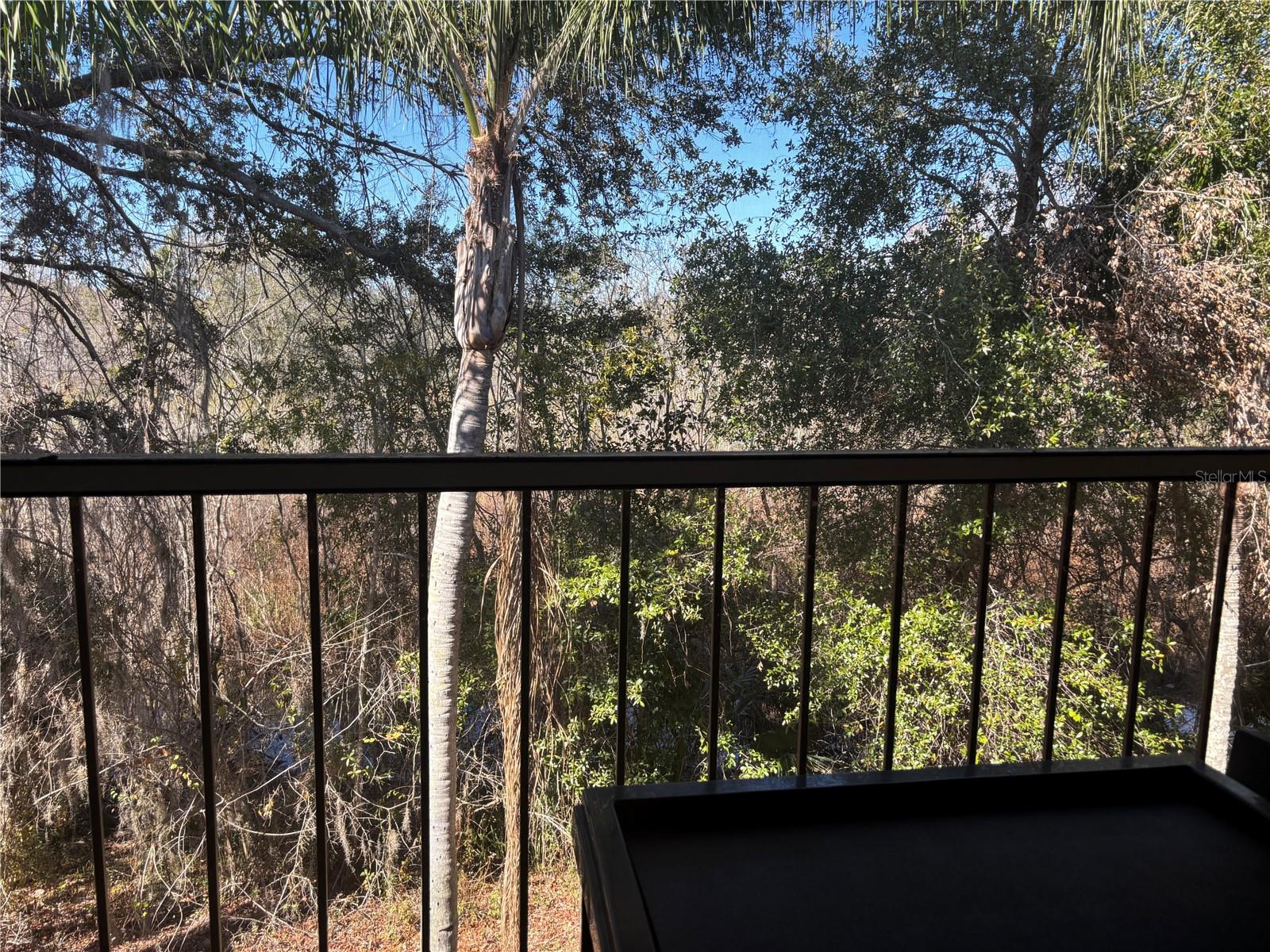 Image 5 of 22 For 8838 Coral Palms Court B