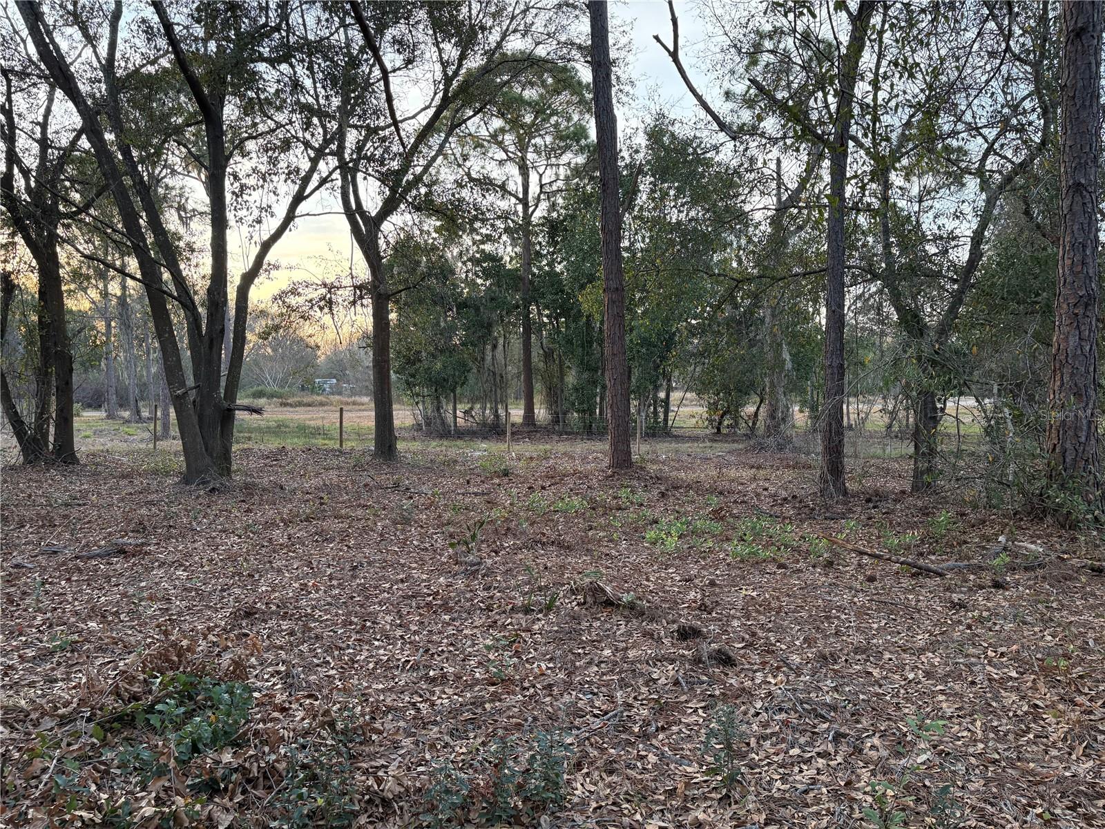 Details for 0 Alturas Babson Park Cutoff Road Lot 78, BARTOW, FL 33830