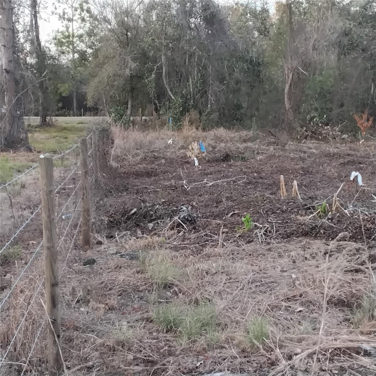 Image 10 of 13 For 0 Alturas Babson Park Cutoff Road Lot 78