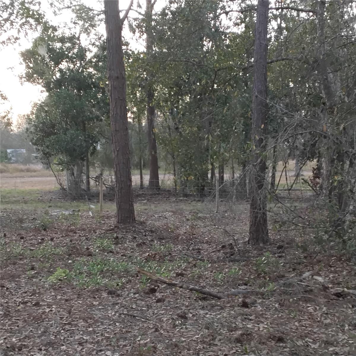 Image 11 of 13 For 0 Alturas Babson Park Cutoff Road Lot 78