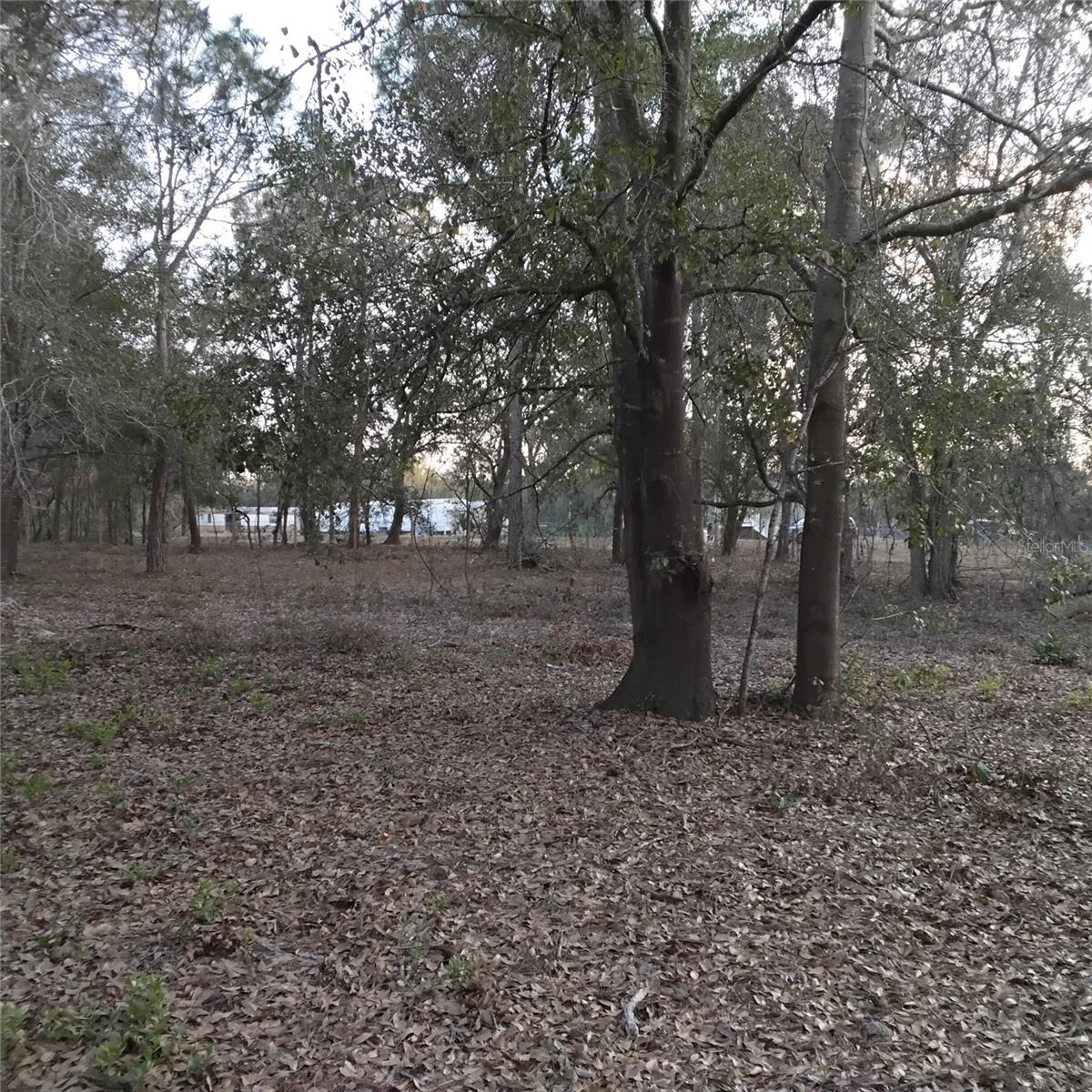 Image 12 of 13 For 0 Alturas Babson Park Cutoff Road Lot 78