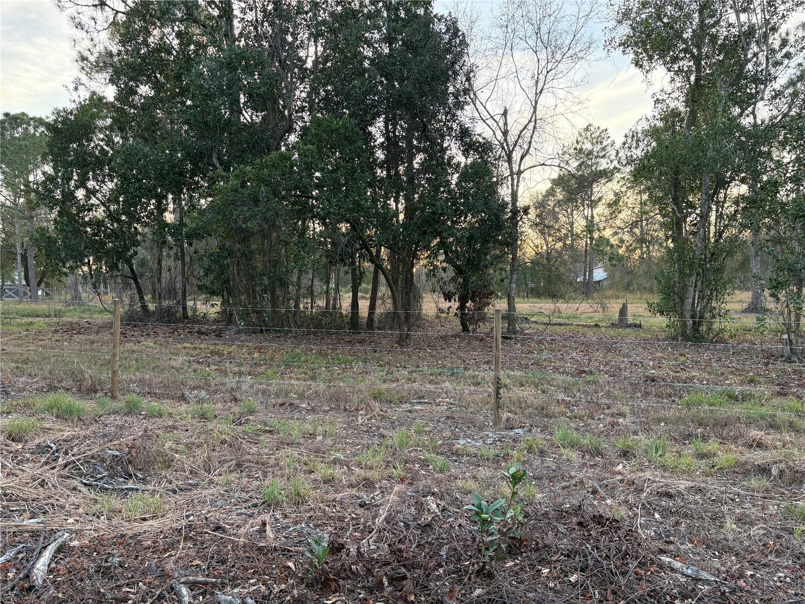 Image 13 of 13 For 0 Alturas Babson Park Cutoff Road Lot 78
