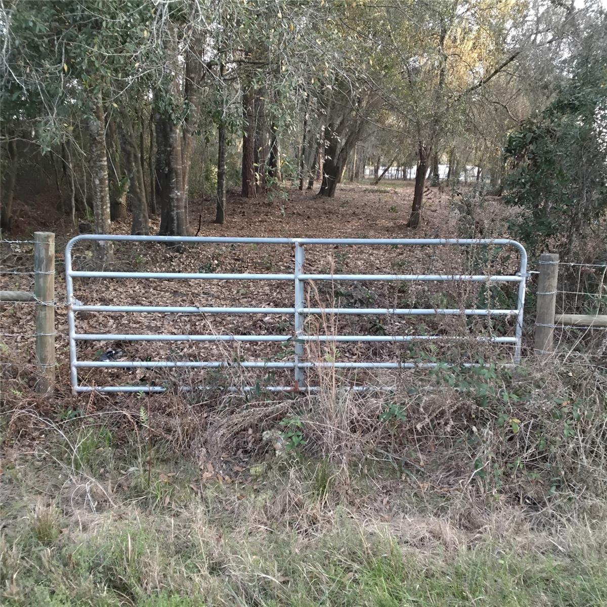Image 2 of 13 For 0 Alturas Babson Park Cutoff Road Lot 78