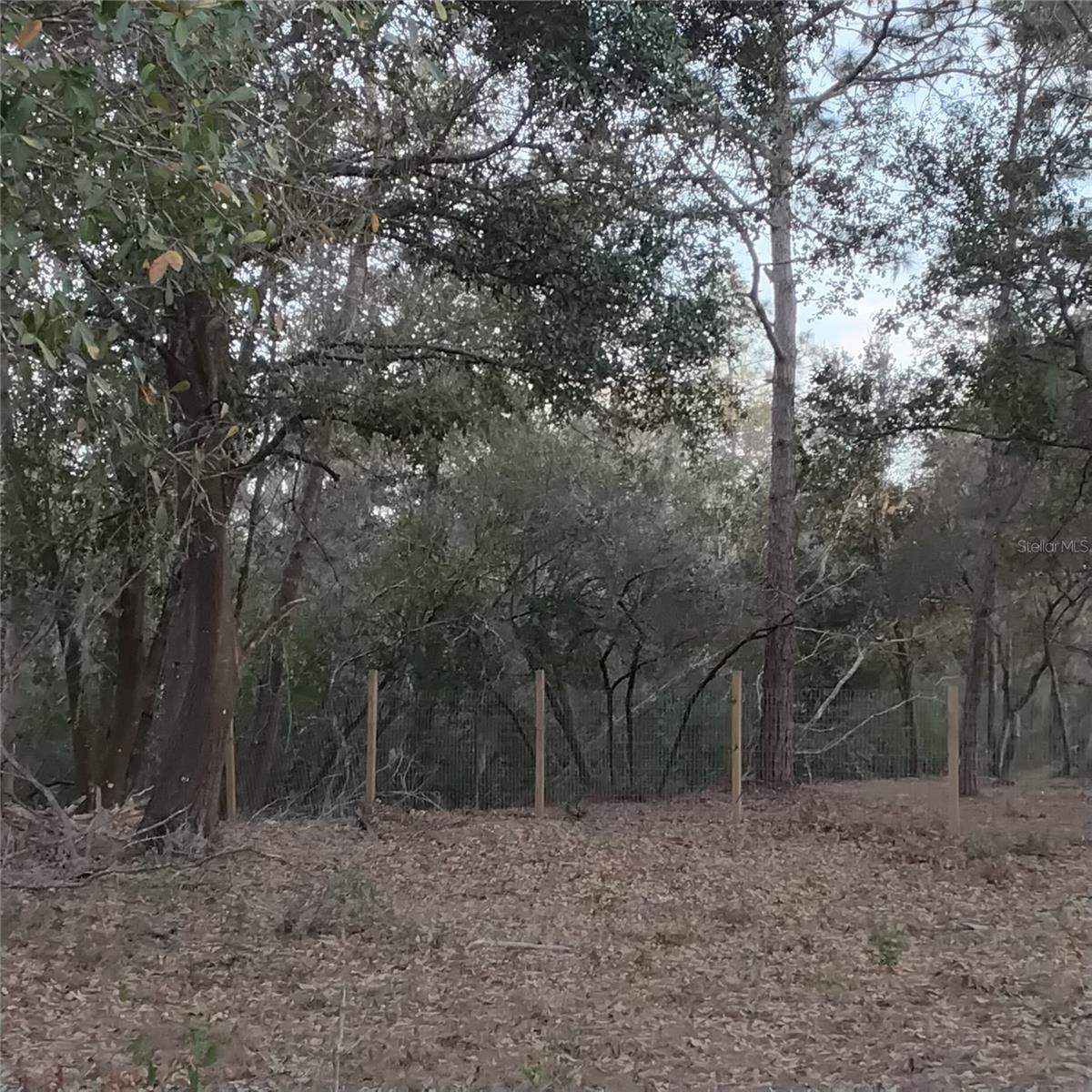 Image 4 of 13 For 0 Alturas Babson Park Cutoff Road Lot 78