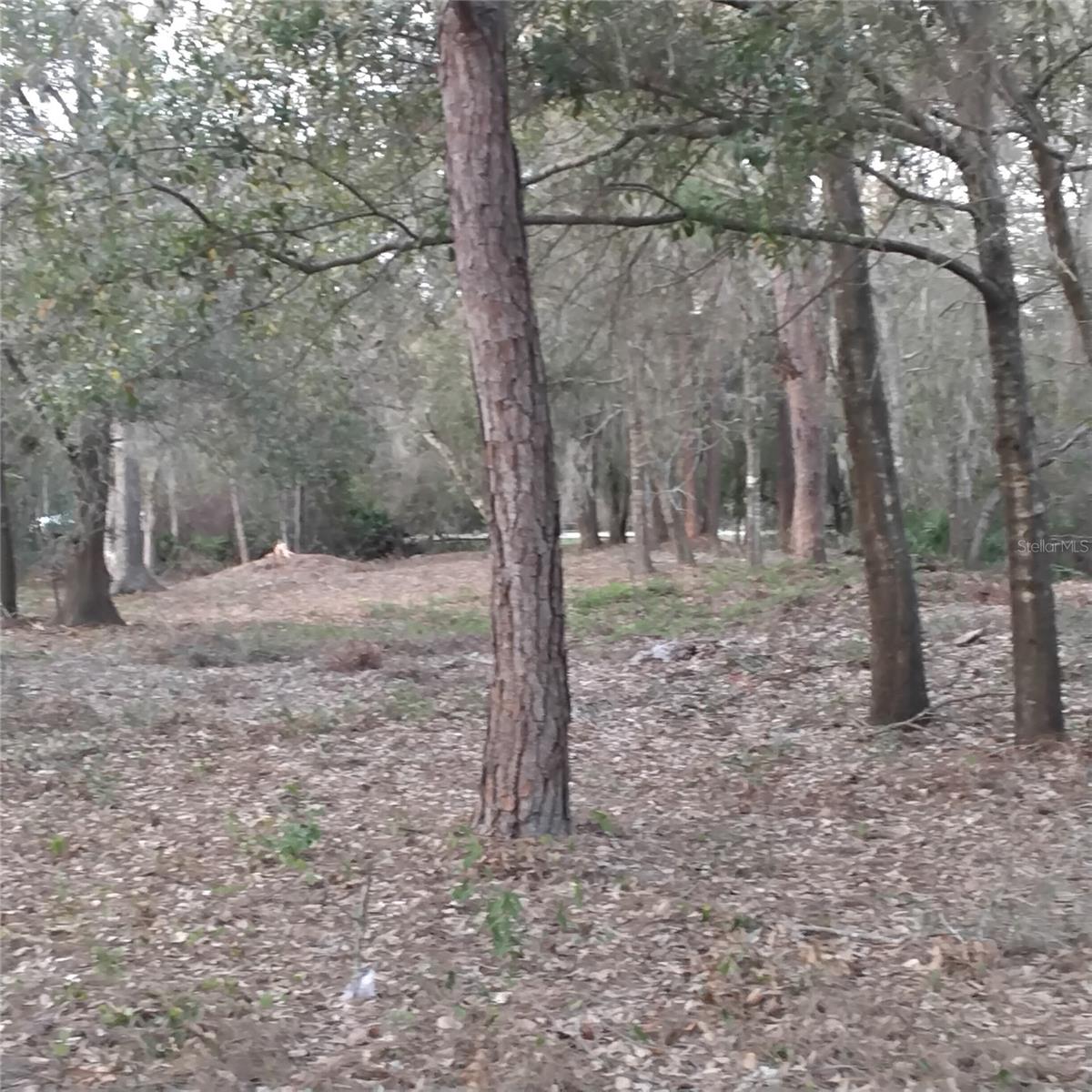 Image 6 of 13 For 0 Alturas Babson Park Cutoff Road Lot 78