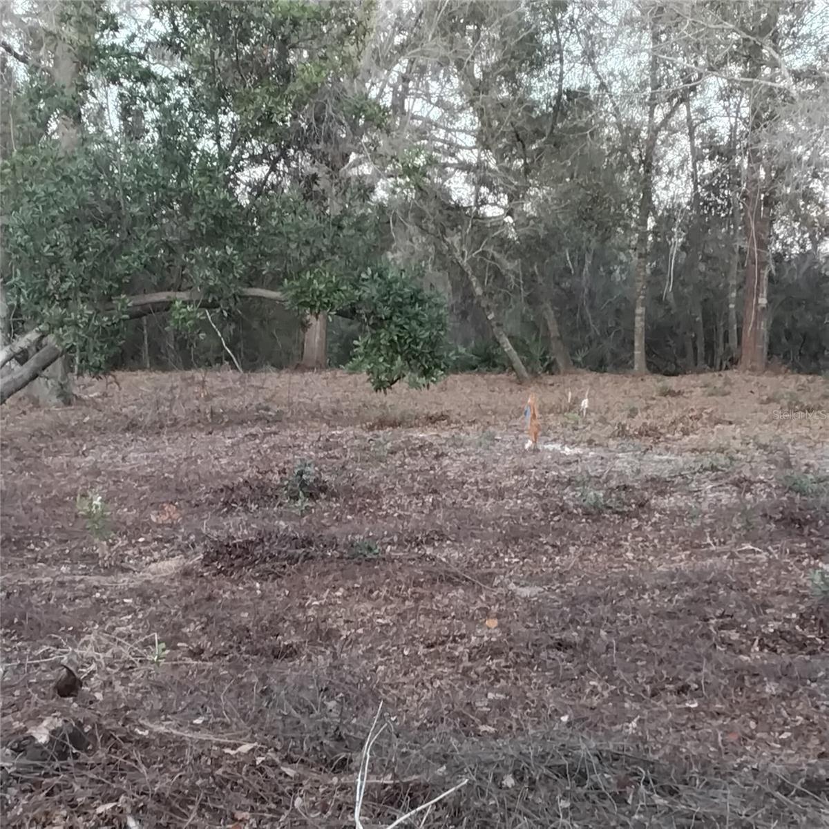 Image 8 of 13 For 0 Alturas Babson Park Cutoff Road Lot 78