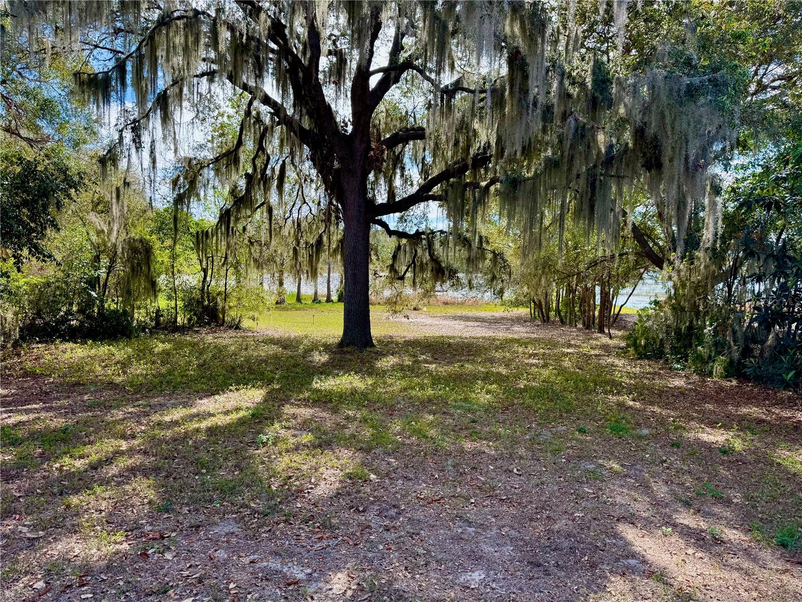 Image 27 of 31 For 13145 Plum Lake Cir