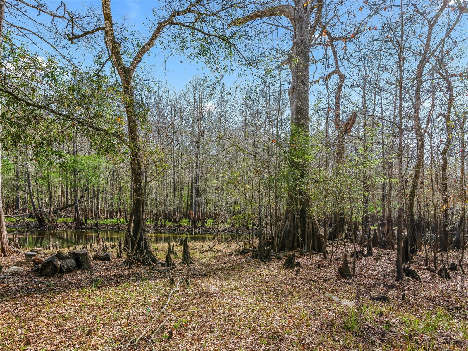 Image 21 of 28 For 8935 Cr 647s