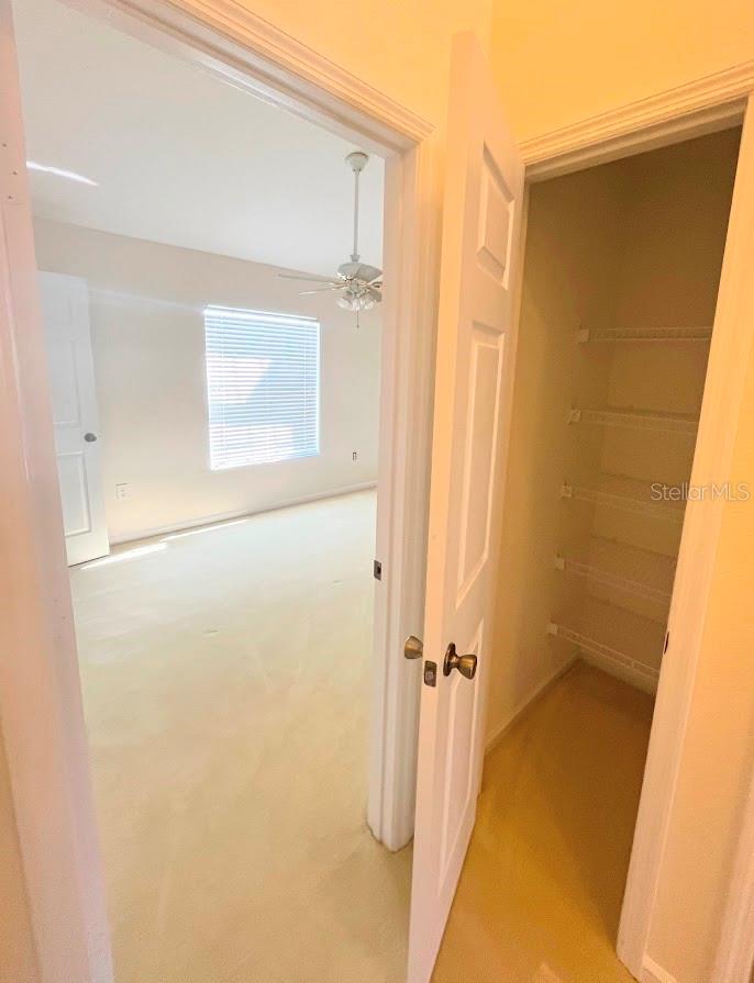 Image 25 of 40 For 2534 Maneshaw Lane