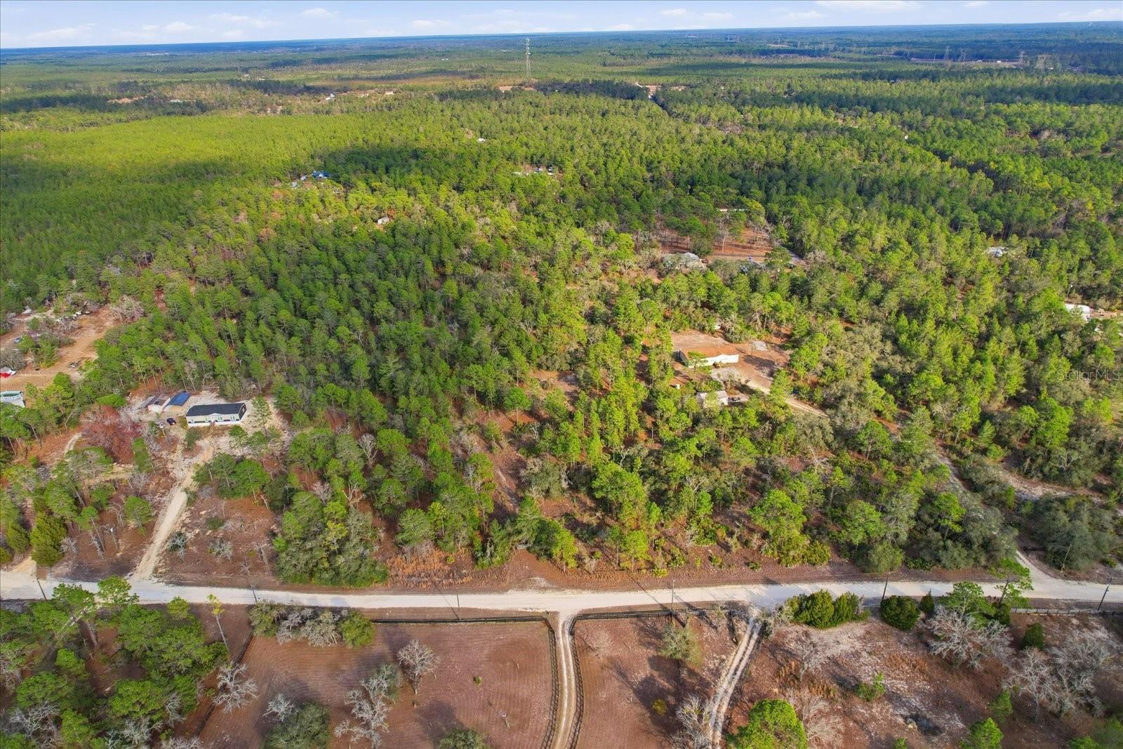 Image 42 of 44 For 7545 Damascus Avenue