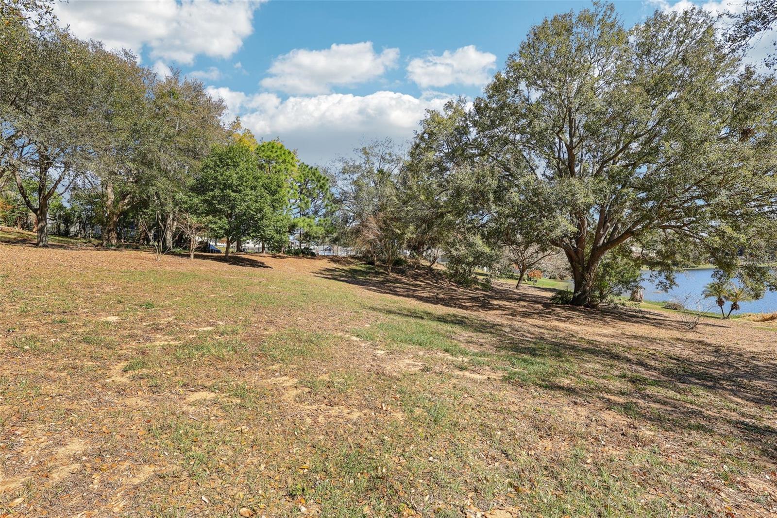 Image 12 of 16 For Westmoreland Avenue