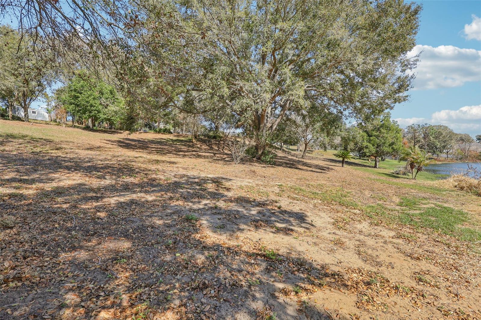 Image 13 of 16 For Westmoreland Avenue