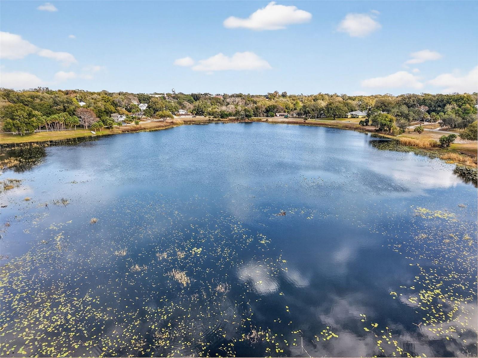 Image 33 of 33 For 740 Summit Street