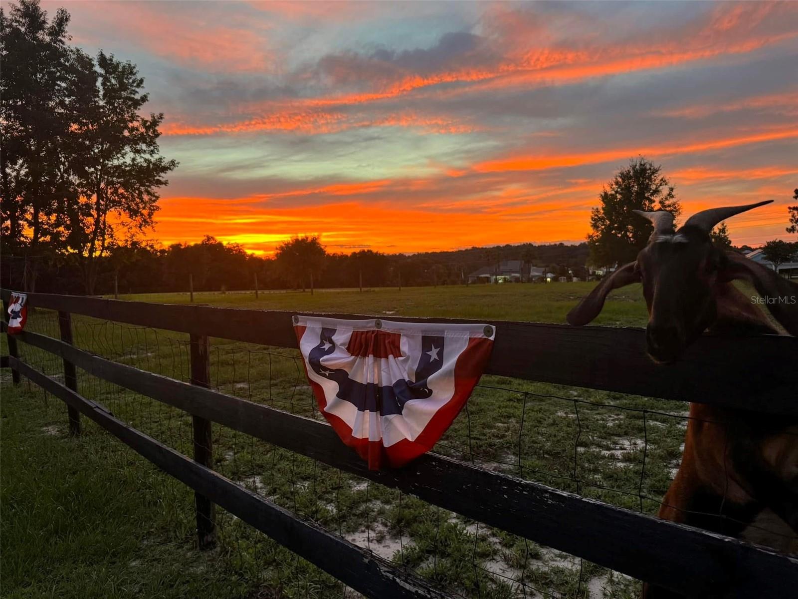 Image 68 of 72 For 1636 Lake Ella Road