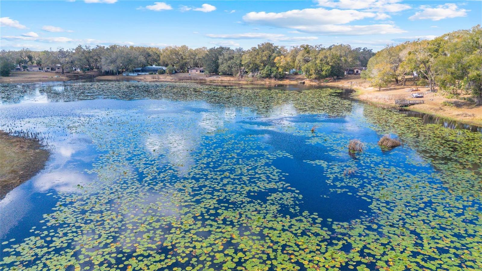 Image 40 of 50 For 36035 Spring Lake Boulevard