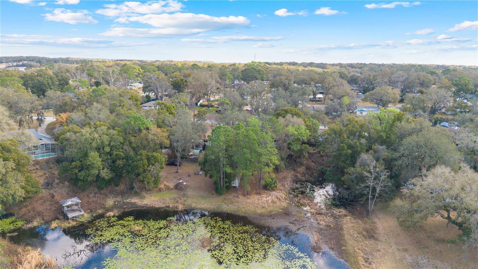 Image 41 of 50 For 36035 Spring Lake Boulevard