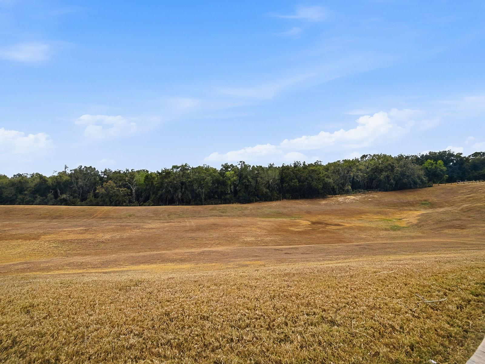 Image 42 of 63 For 38701 Oak Place Court