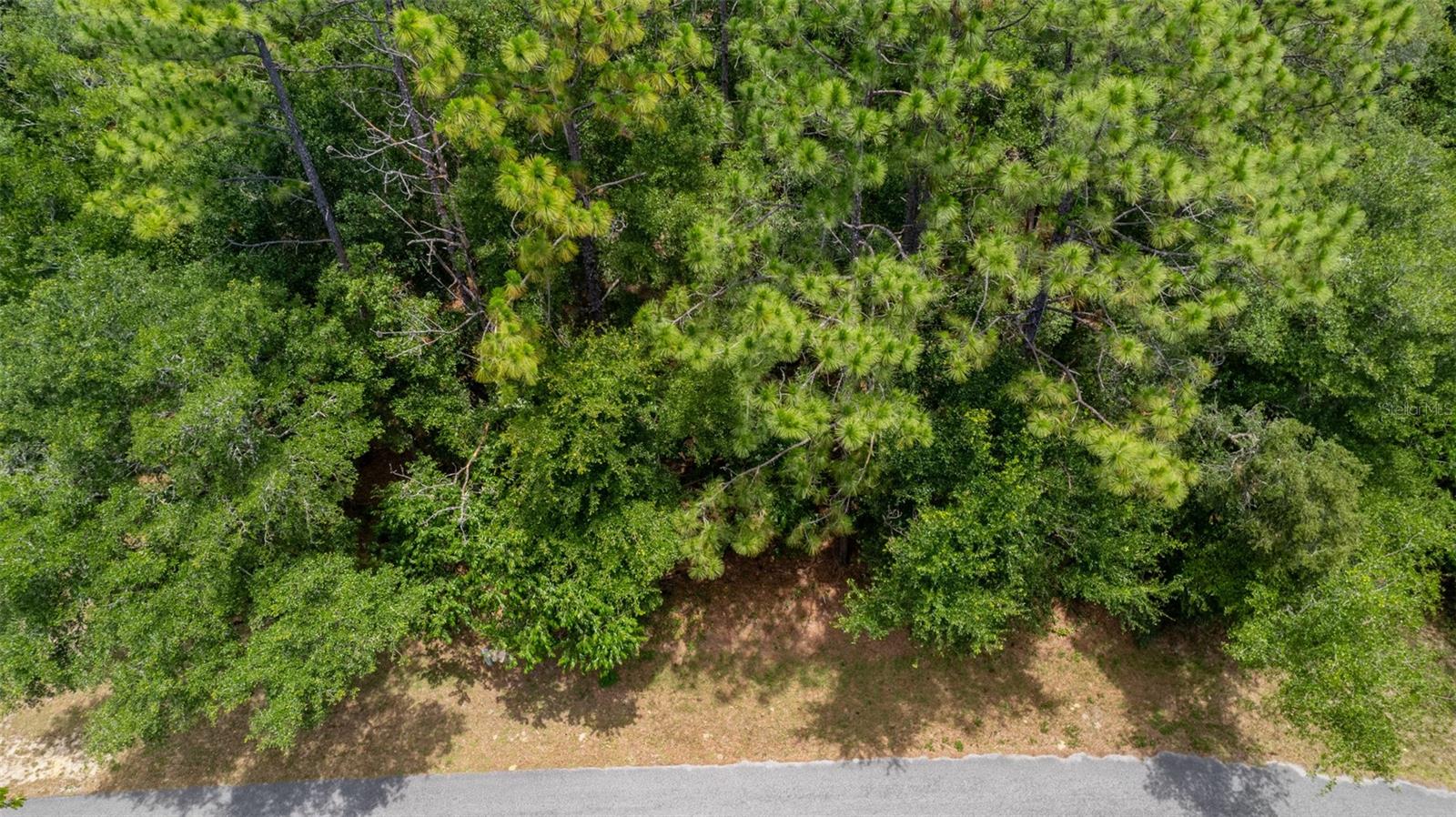 Image 9 of 22 For  Sw 73 Loop  