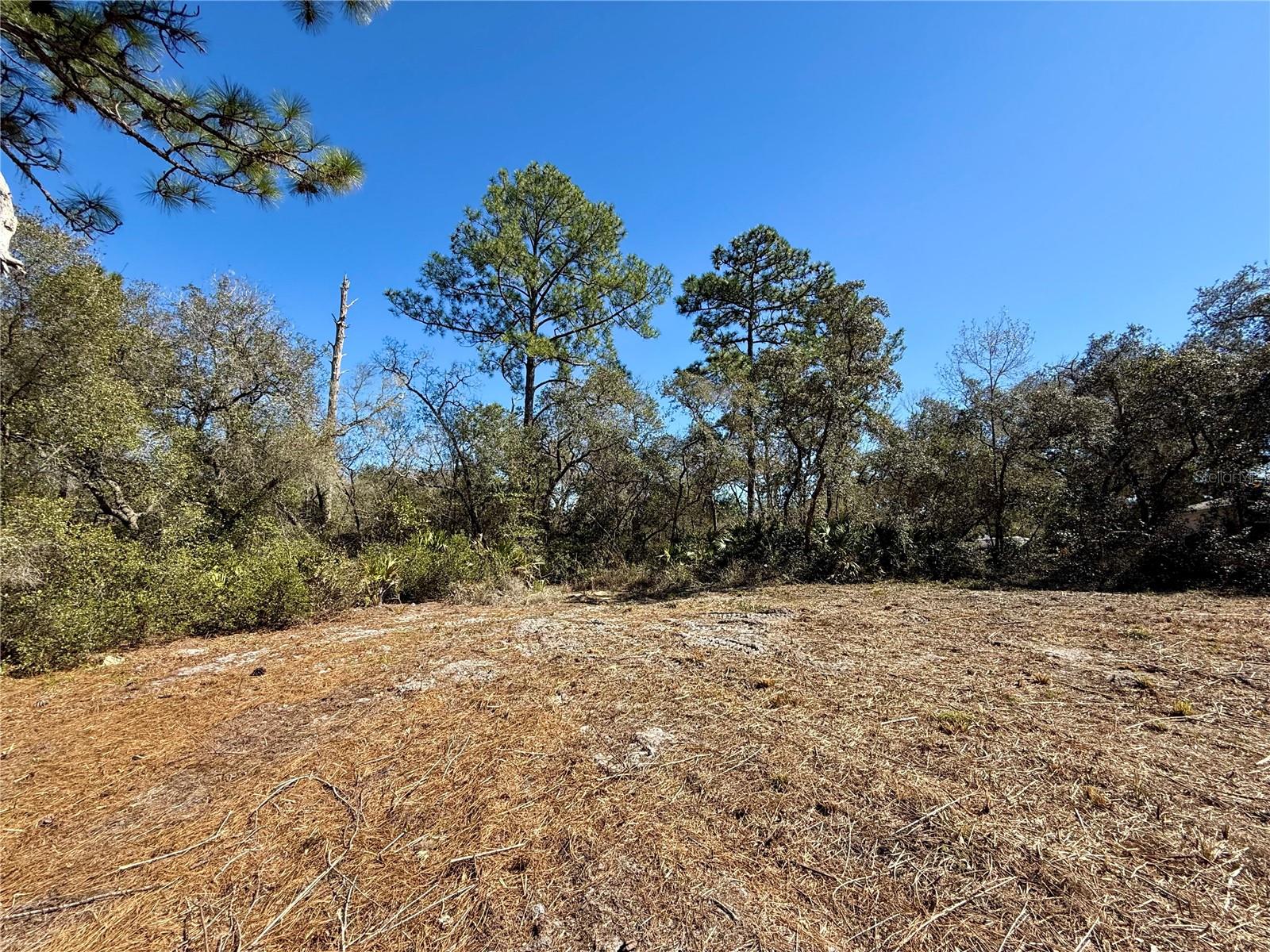 Image 10 of 28 For Lot 11 Poinciana Street