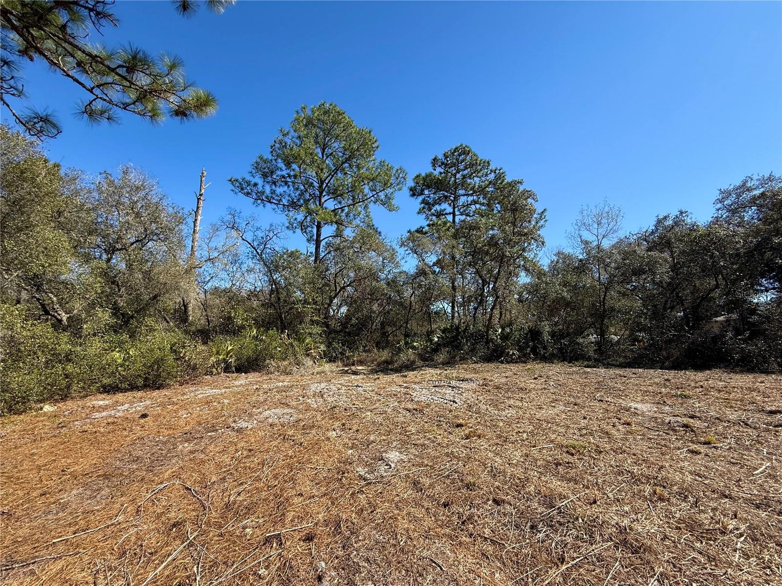 Image 11 of 28 For Lot 11 Poinciana Street