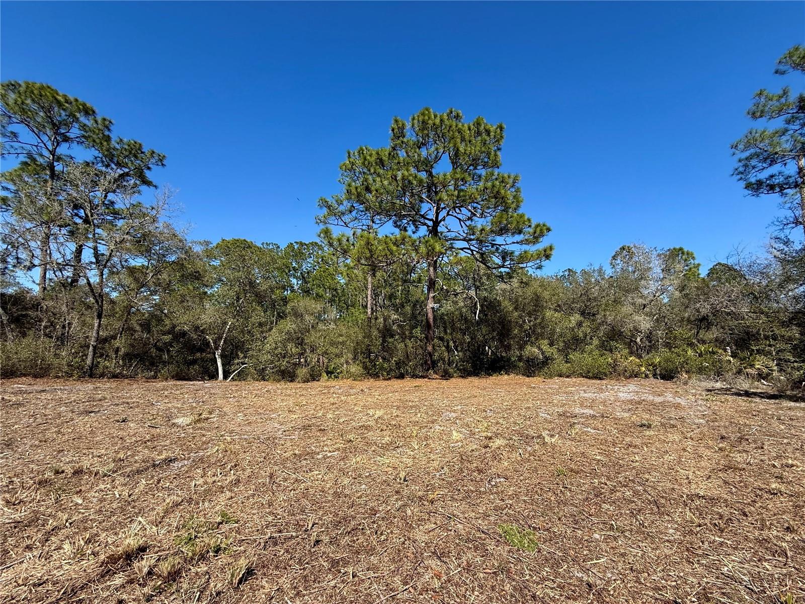 Image 14 of 28 For Lot 11 Poinciana Street